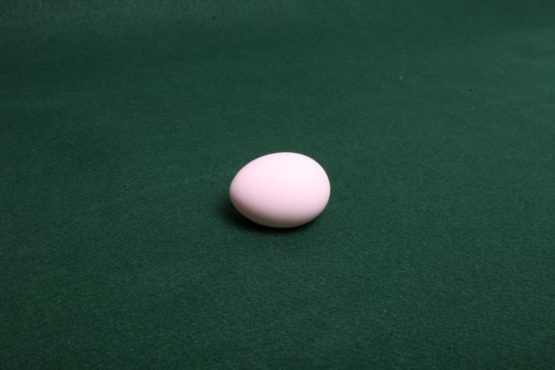 Free stock image of Eggs created by Jared Davidson