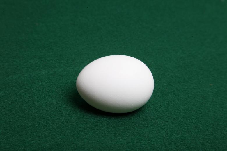 Free stock image of Eggs created by Jared Davidson