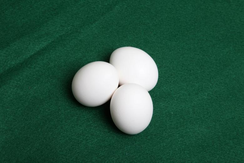 Free stock image of Eggs created by Jared Davidson