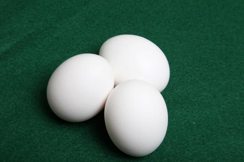 Free stock image of Eggs created by Jared Davidson
