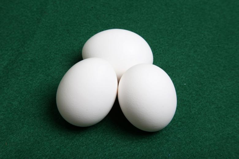 Free stock image of Eggs created by Jared Davidson