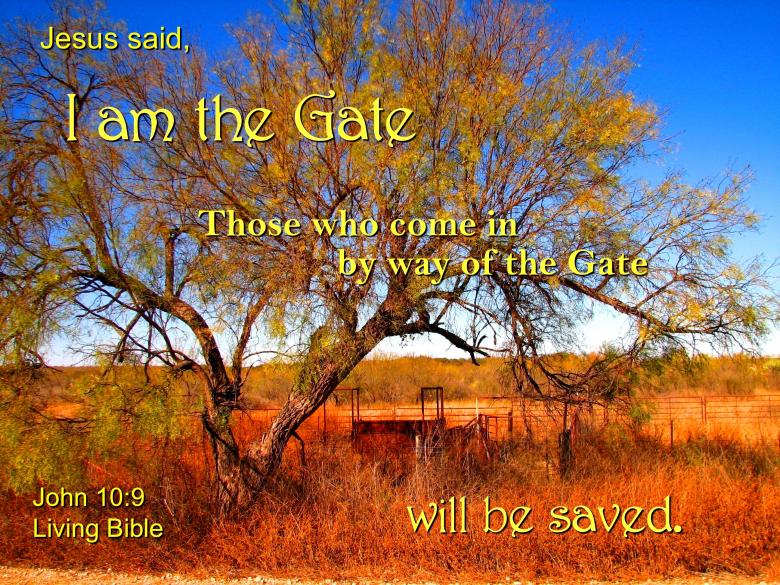 Free stock image of Jesus is the Gate created by DFNatureAwed
