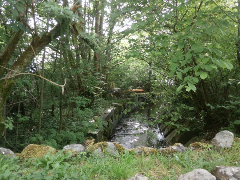 Free stock image of Peaceful scenery created by eftihia kampouri