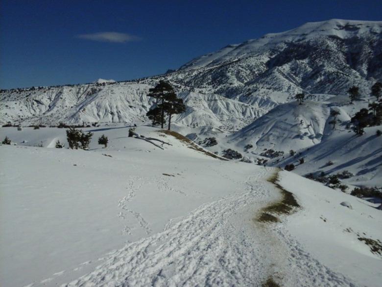 Free stock image of Snow Landscape created by chakomajaw