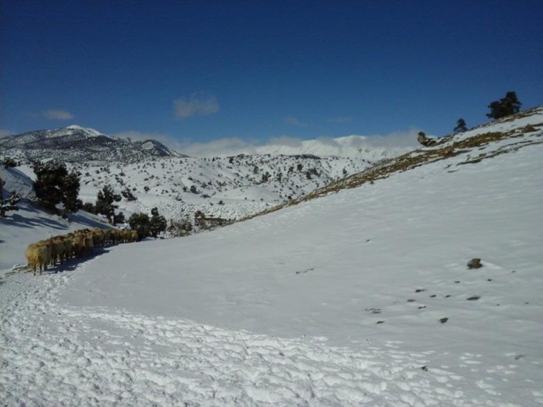 Free stock image of Snow Landscape created by chakomajaw