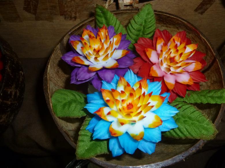 Free stock image of Blooming Flower created by Yossi Shoshani