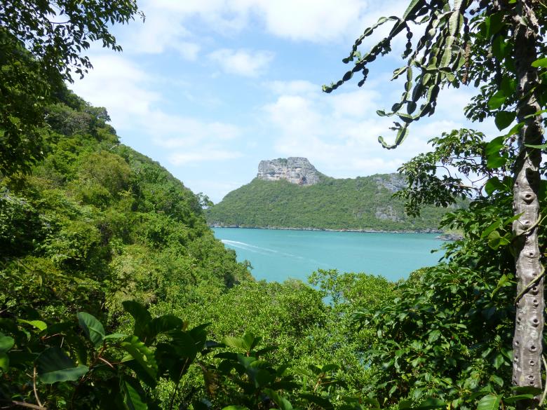 Free stock image of Wild Island created by Yossi Shoshani