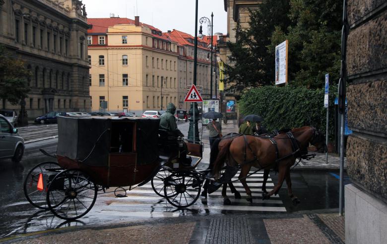 Free stock image of Horse Carriage created by 2happy