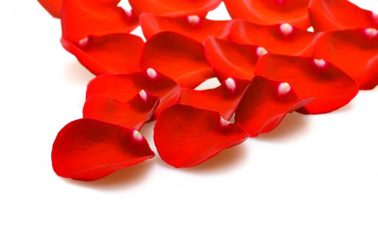 Free stock image of rose petals created by 2happy