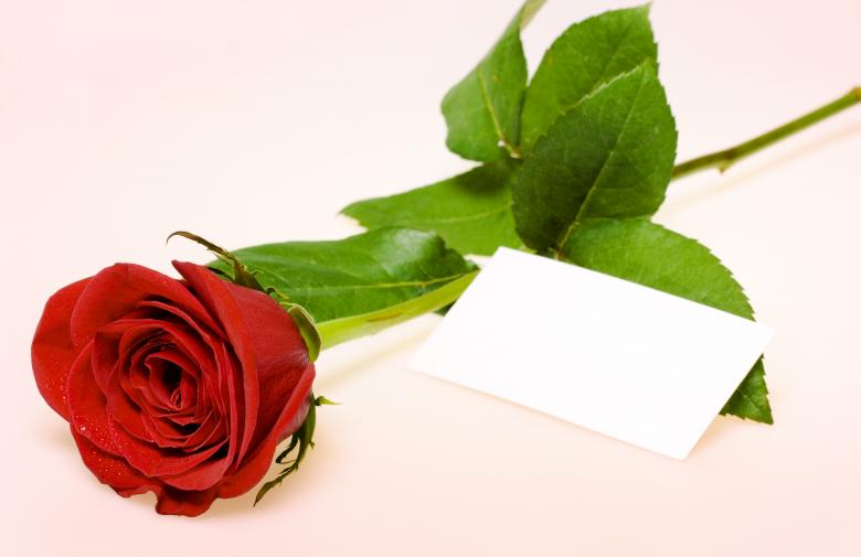 Free stock image of Red rose with card created by 2happy