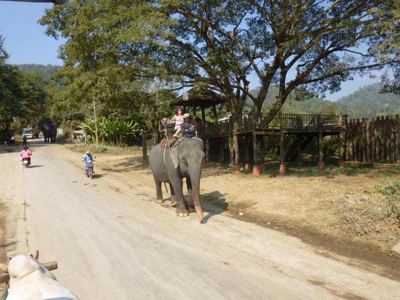Free stock image of Riding the Elephant created by Yossi Shoshani