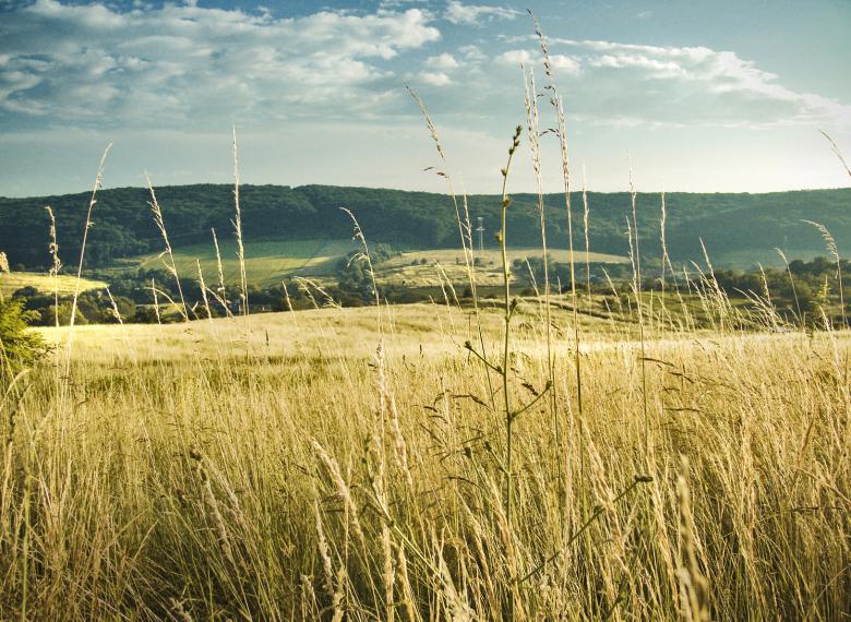 Free stock image of meadows and hills created by Mili Vigerova