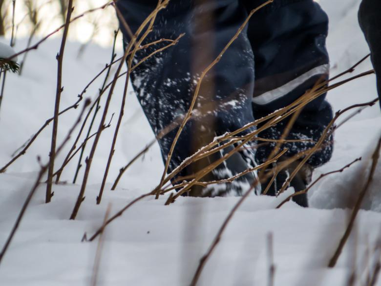 Free stock image of Hiking in winter  created by Janis Urtans