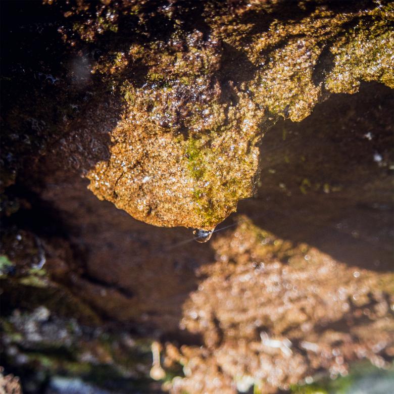 Free stock image of Water drop created by Alen