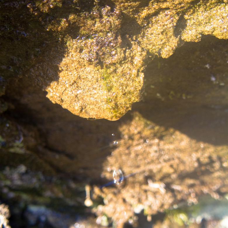 Free stock image of Water drop created by Alen