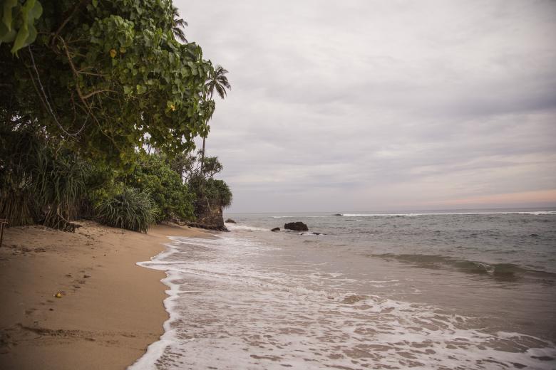 Free stock image of Jungle beach Sri Lanka created by Mili Vigerova