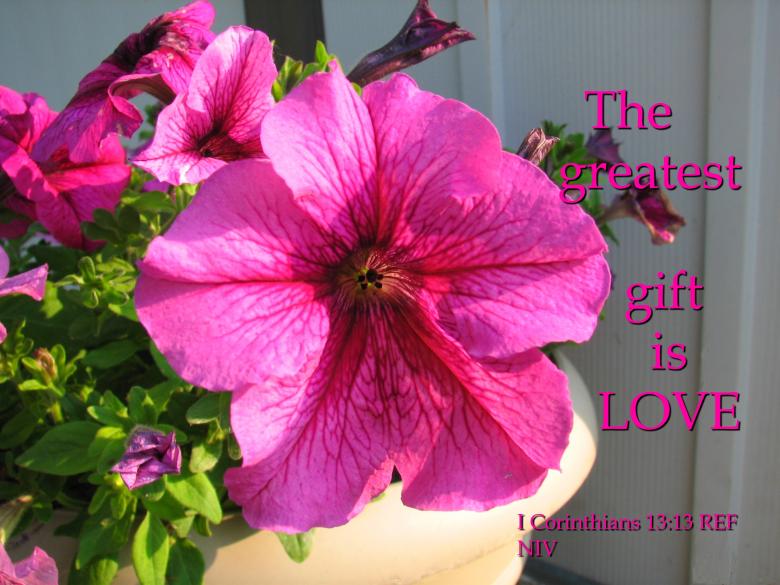 Free stock image of The Greatest Gift Is Love created by DFNatureAwed