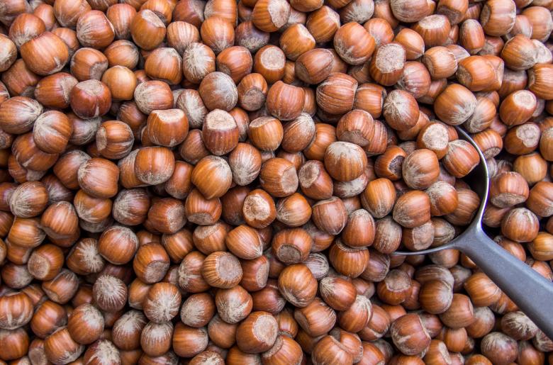 Free stock image of Hazelnuts pattern background texture created by Luka