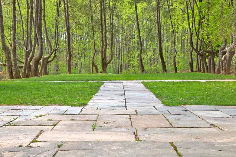 Free stock image of Woodend Sanctuary Path - HDR created by Nicolas Raymond