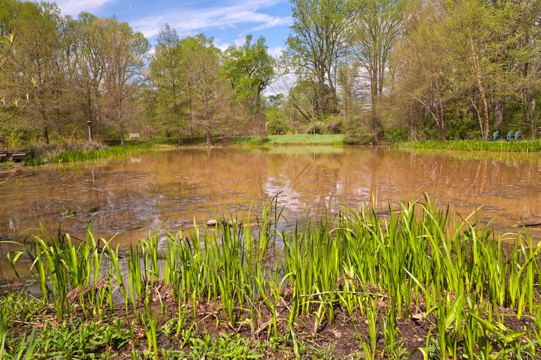 Free stock image of Meadowlark Gardens Marsh - HDR created by Nicolas Raymond