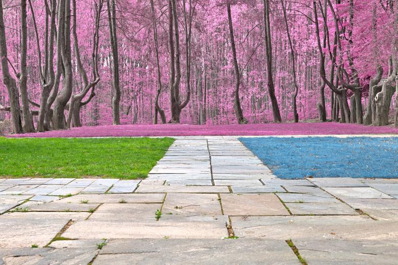 Free stock image of Woodend Wonderland - HDR created by Nicolas Raymond