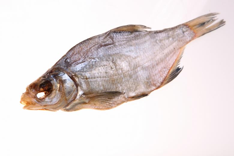 Free stock image of Dry fish created by 2happy