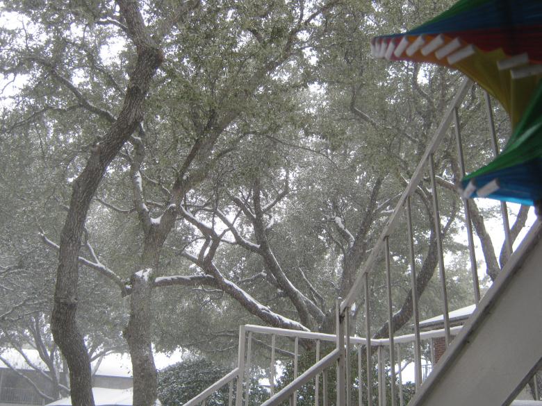 Free stock image of Snow in Texas created by jeremy melugin