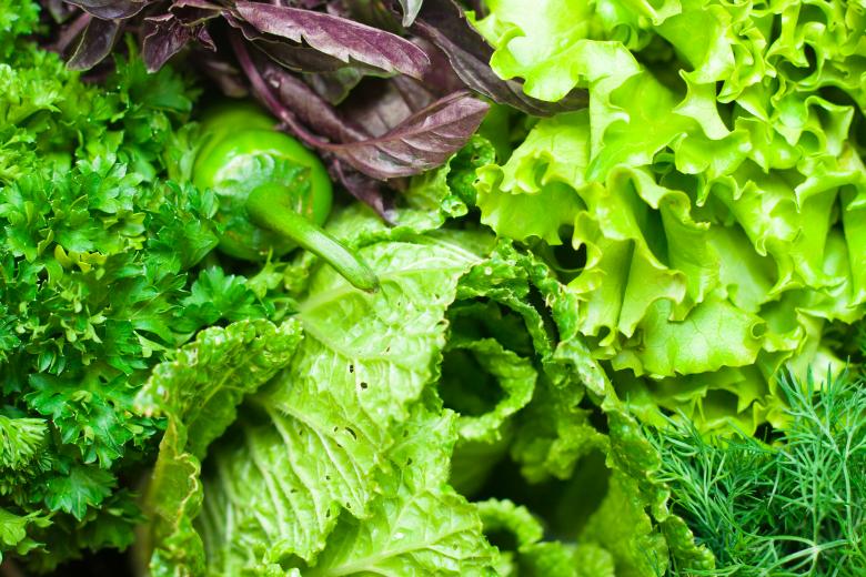 Free stock image of Greens created by 2happy