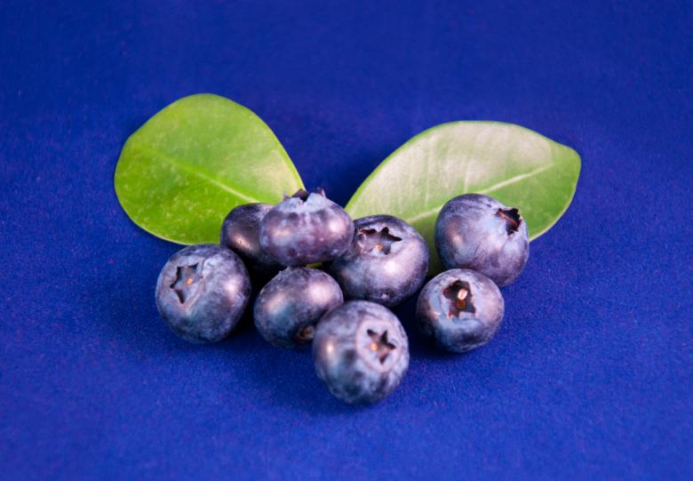Free stock image of Blueberries fruit created by Luka