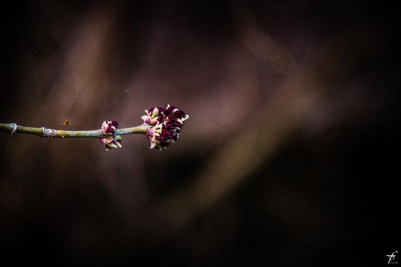 Free stock image of Late spring evening created by Frantisek Pech