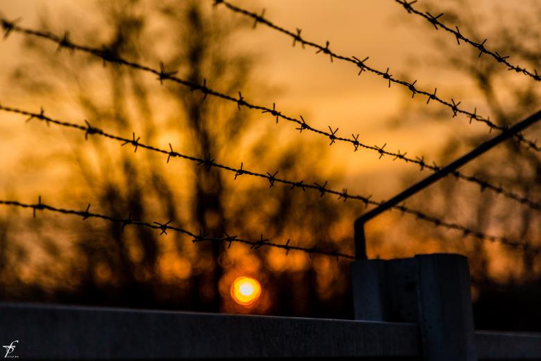 Free stock image of Late spring evening created by Frantisek Pech