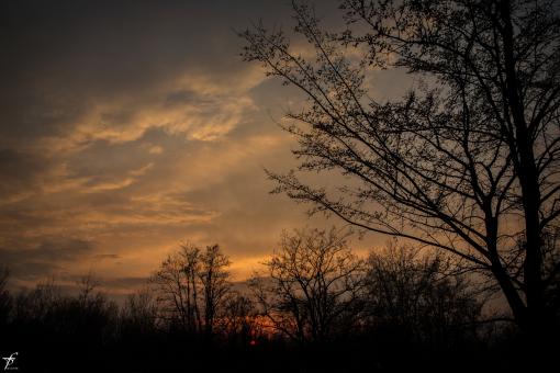 Late spring evening