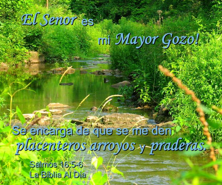 Free stock image of El Senor es mi Mayor Gozo created by DFNatureAwed