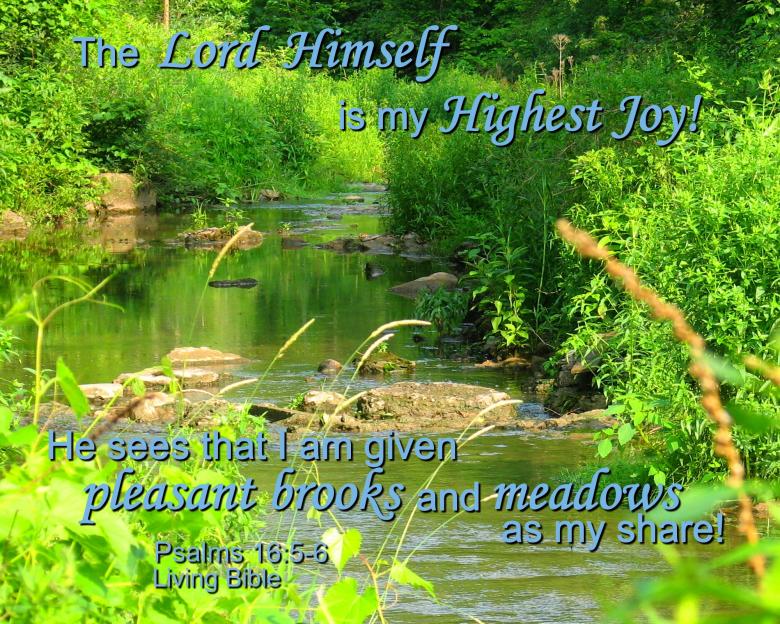 Free stock image of God is my Highest Joy created by DFNatureAwed