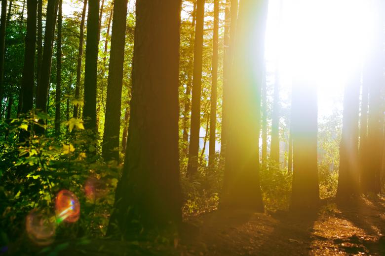 Free stock image of sunny Ufa morning created by 2happy