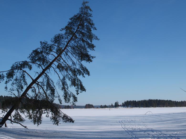 Free stock image of Winter Landscape created by Marko Mäkinen