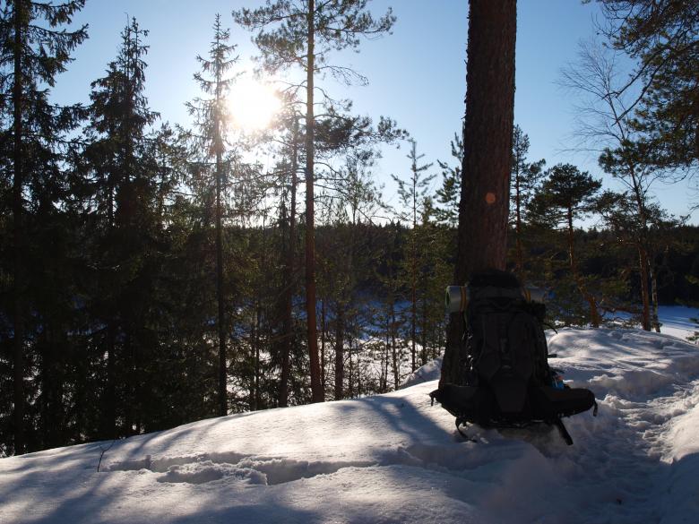 Free stock image of Winter Woods created by Marko Mäkinen
