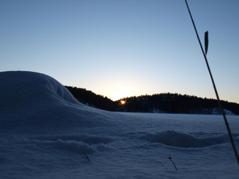 Free stock image of Winter Landscape created by Marko Mäkinen