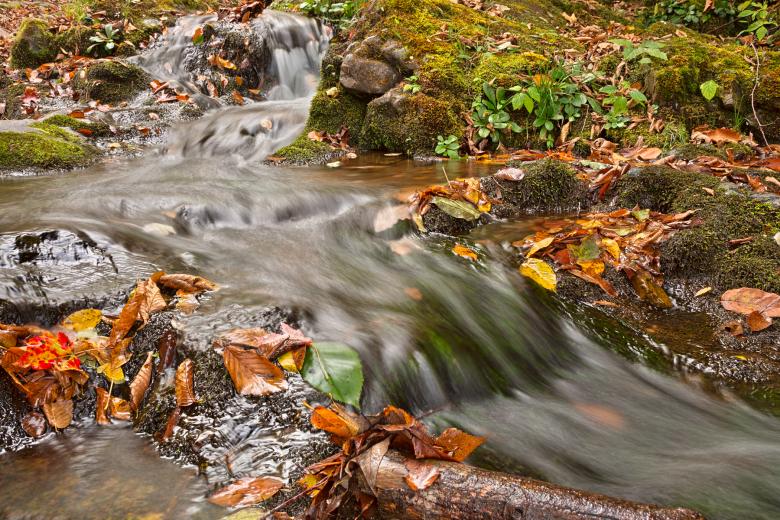 Free stock image of Dark Hollow Falls Stream - HDR created by Nicolas Raymond