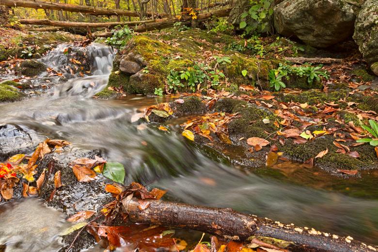 Free stock image of Dark Hollow Falls Stream - HDR created by Nicolas Raymond