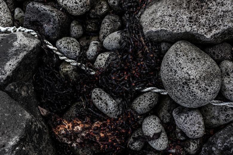 Free stock image of Seaweed and Rocks Texture created by Free Texture Friday