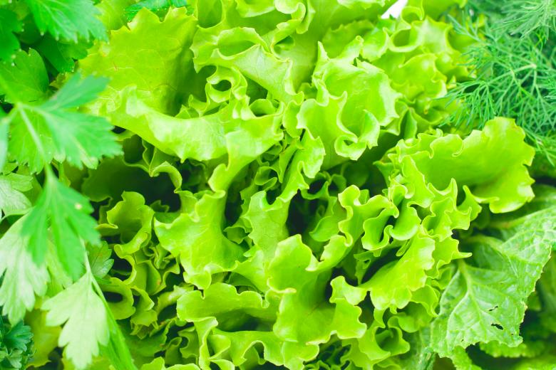 Free stock image of Salad created by 2happy