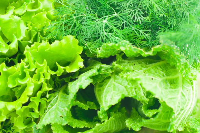 Free stock image of Greens created by 2happy