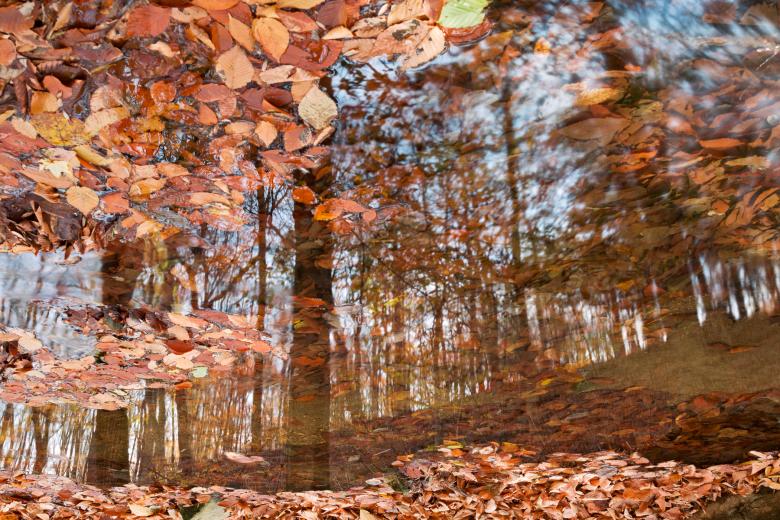 Free stock image of Avalon Fall Reflections created by Nicolas Raymond