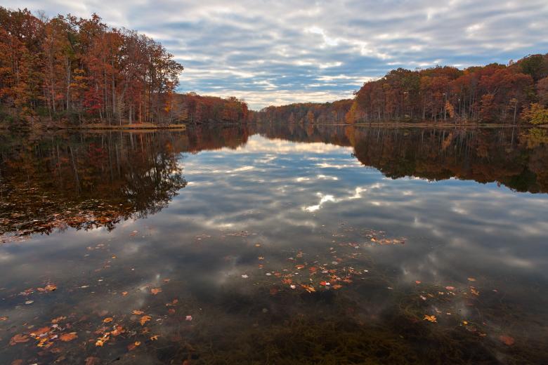Free stock image of Seneca Fall Reflections - HDR created by Nicolas Raymond