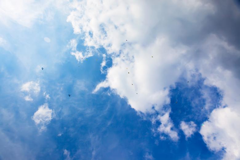 Free stock image of skydivers in blue sky created by 2happy