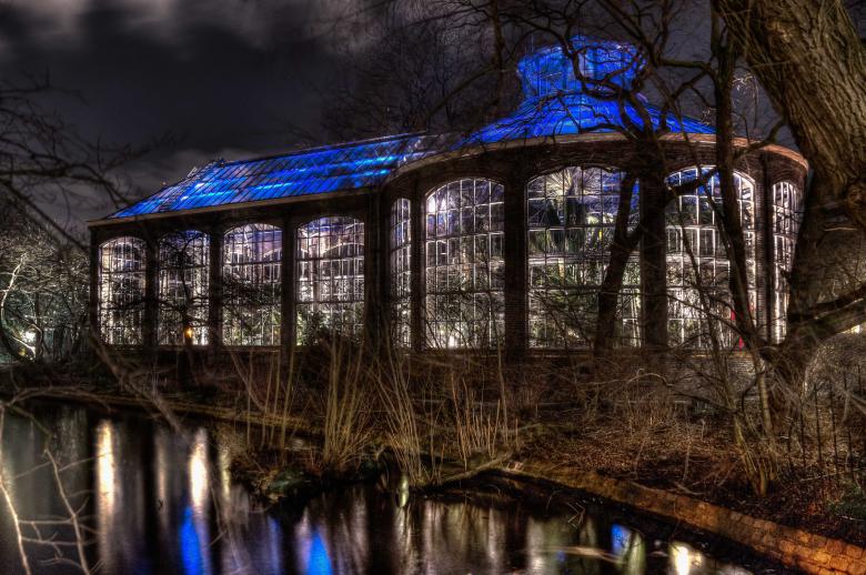 Free stock image of Hortus Botanicus created by Joey Juffermans