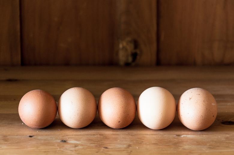 Free stock image of Eggs on wood background created by Luka