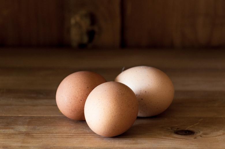 Free stock image of Eggs on wood background created by Luka