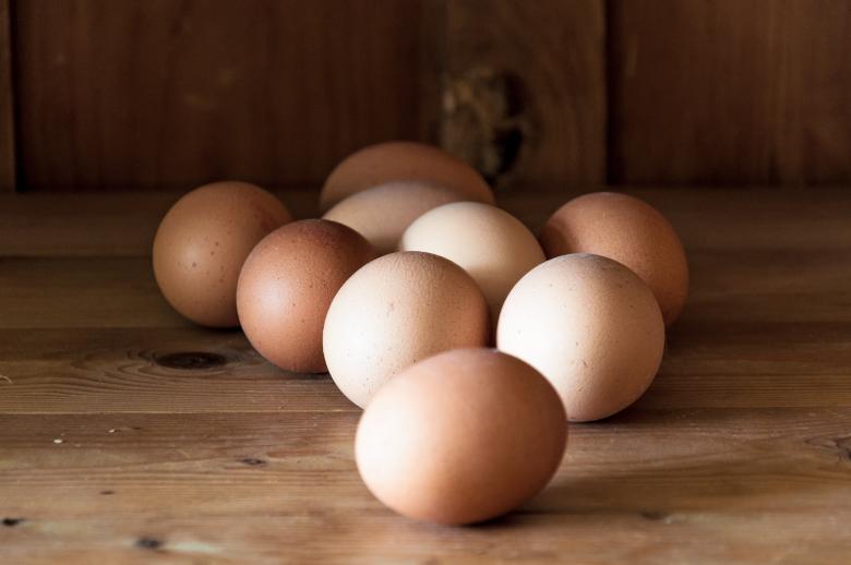Free stock image of Eggs on wood background created by Luka